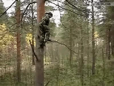17135242745311.gif