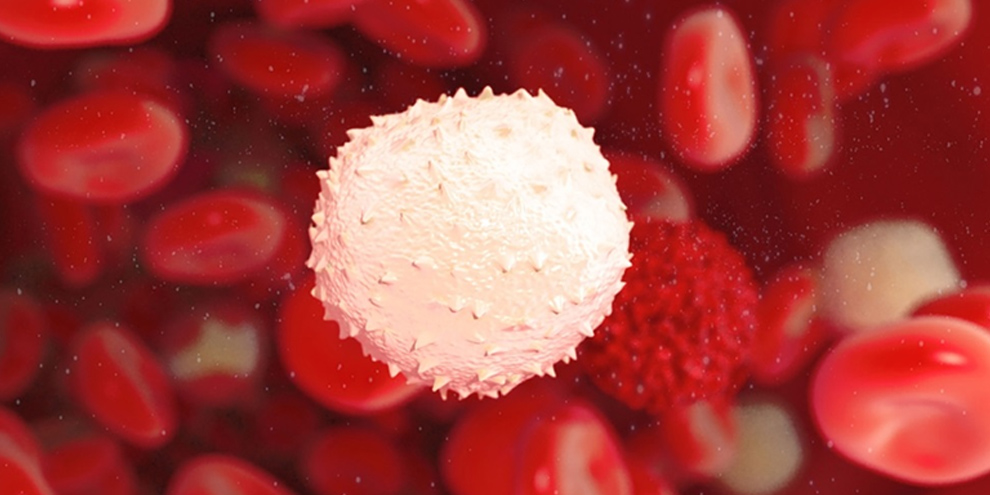 Imagem de: Novo método pode criar exame de detecção universal de câncer 