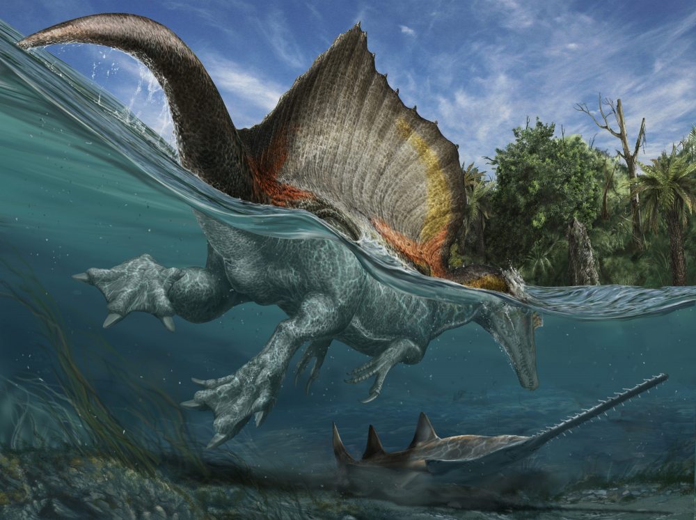 O maior dinossauro carnívoro do mundo foi um misto de crocodilo com pato