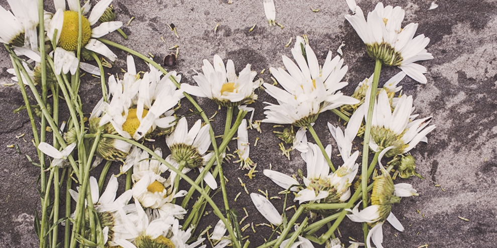 Imagem de: 7 sites e serviços que não mereciam ter sido encerrados