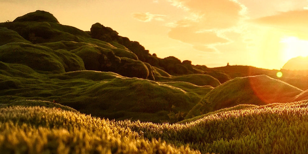 Imagem de: Fotógrafo profissional mostra do que a câmera do iPhone 6 é capaz