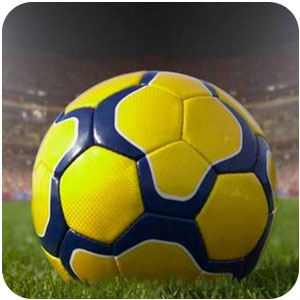 Logo Elifoot 2014 Ícone