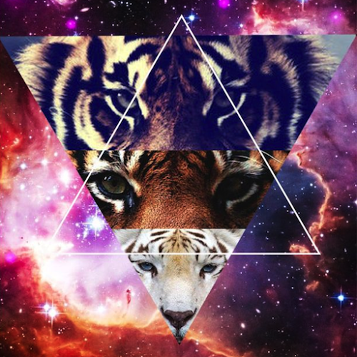 Logo Hipster Wallpapers Ícone Logo Hipster Wallpapers Ícone