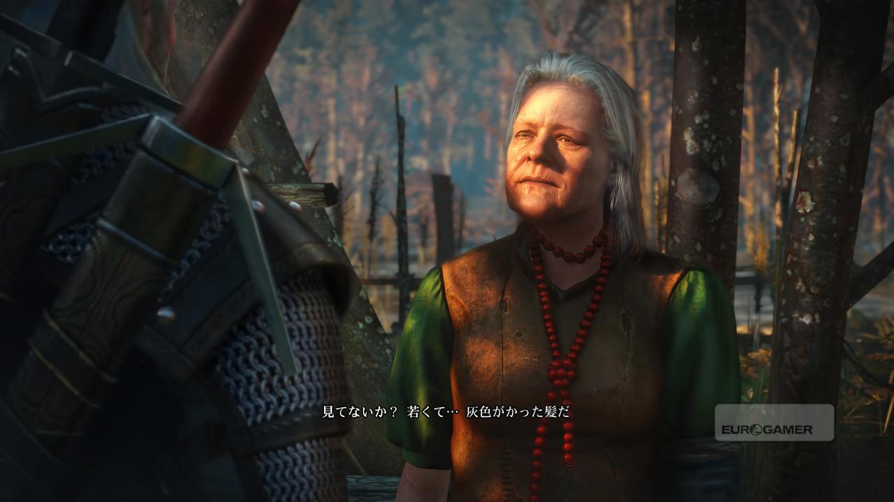 Mais screenshots impressionantes de The Witcher 3: Wild Hunt são liberadas