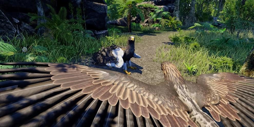 Wander, o MMO sem lutas para PC e PS4