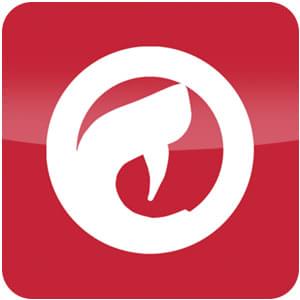 Logo Comodo Dragon Ícone Logo Comodo Dragon Ícone
