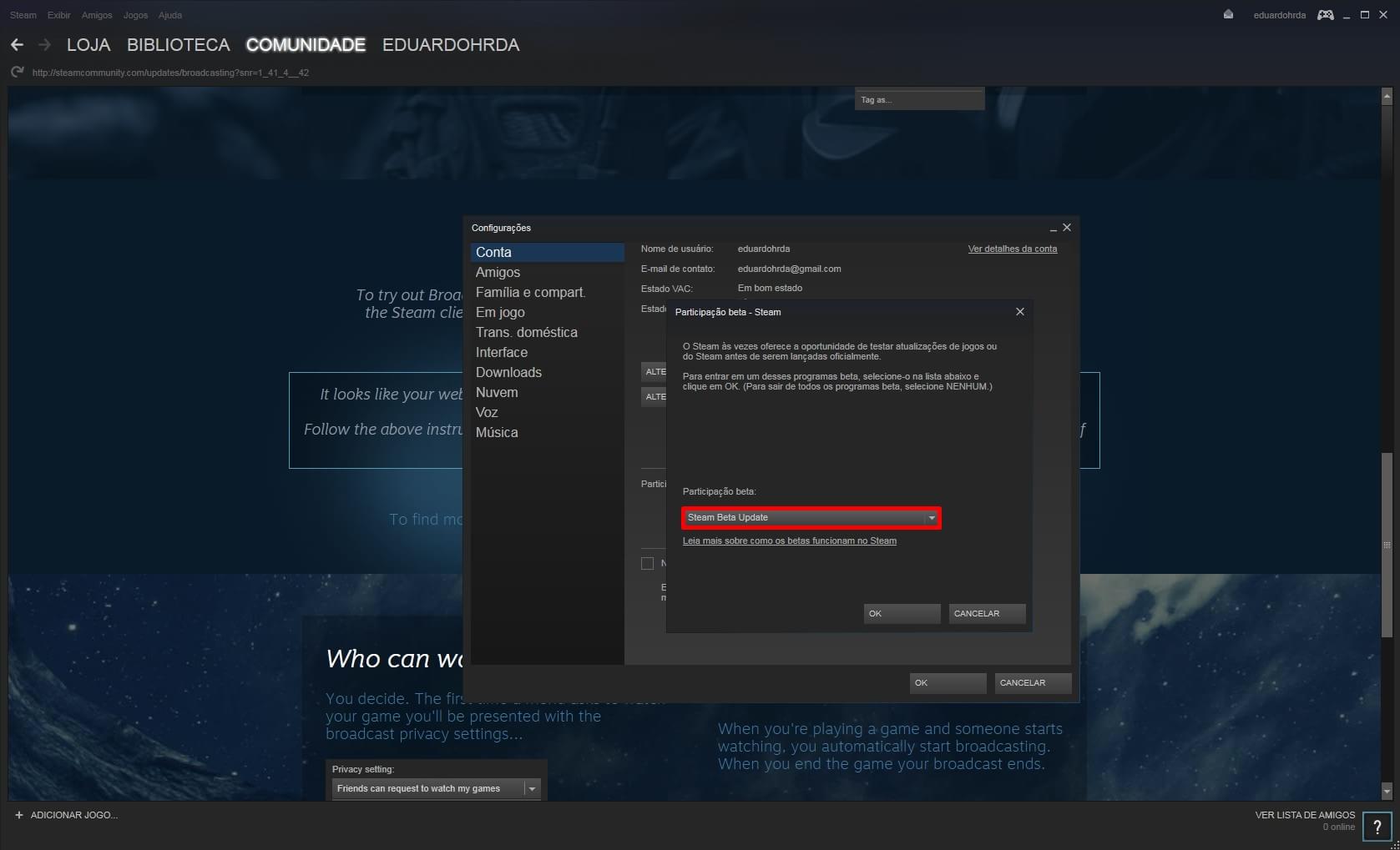 "Transmissões Steam": novo recurso da plataforma para streaming de jogos