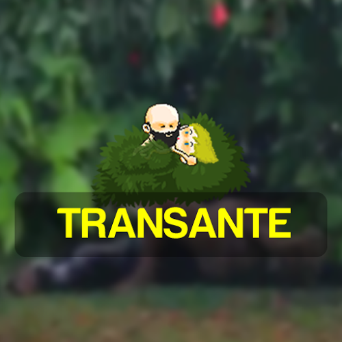 Logo Transante Ícone Logo Transante Ícone