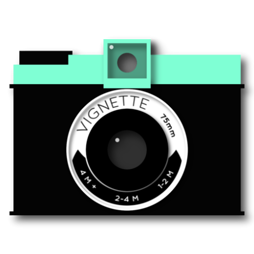 Logo Vignette Demo Ícone Logo Vignette Demo Ícone