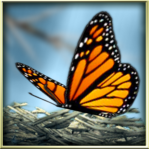 Logo Season Zen HD Ícone Logo Season Zen HD Ícone