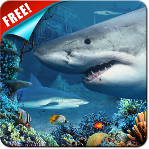 Logo Shark Reef Live Wallpaper Free Ícone Logo Shark Reef Live Wallpaper Free Ícone