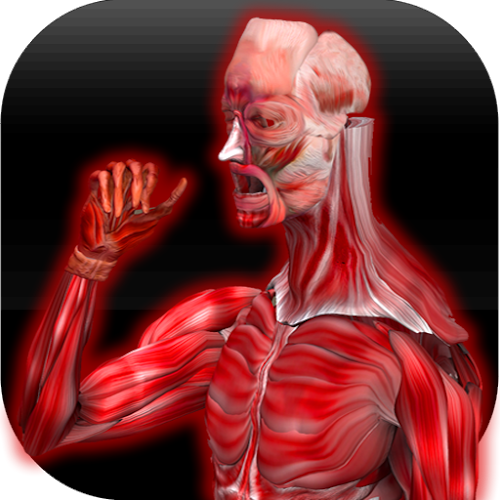 Logo Anatomy Muscles Ícone Logo Anatomy Muscles Ícone