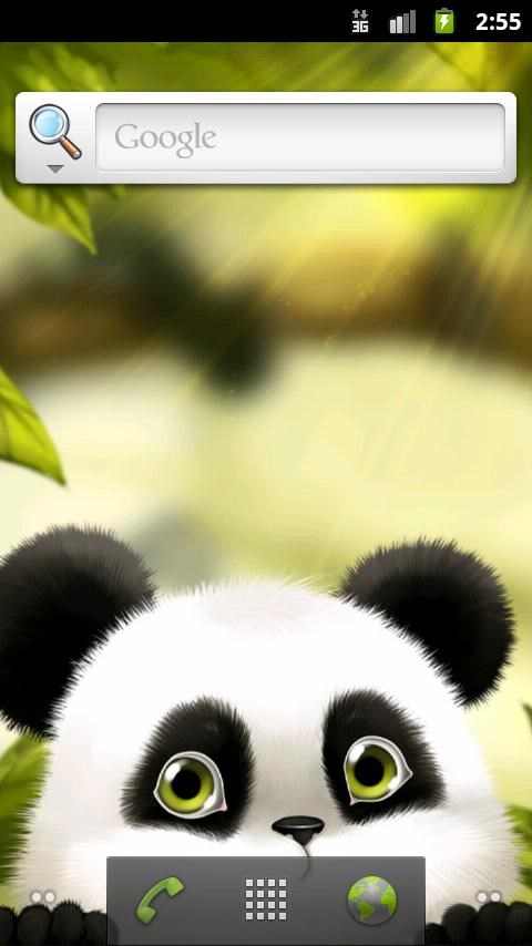 Panda Chub Live Wallpaper Free Download