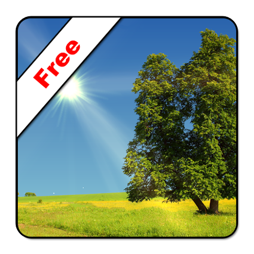 Logo True Weather LWP Free Ícone Logo True Weather LWP Free Ícone