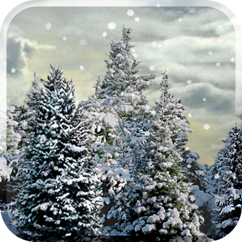 Logo Snowfall Free Live Wallpaper Ícone Logo Snowfall Free Live Wallpaper Ícone