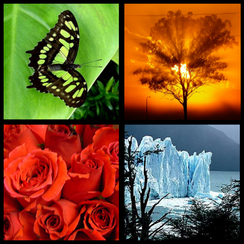 Logo Photo Wall FX - Live Wallpaper Ícone Logo Photo Wall FX - Live Wallpaper Ícone