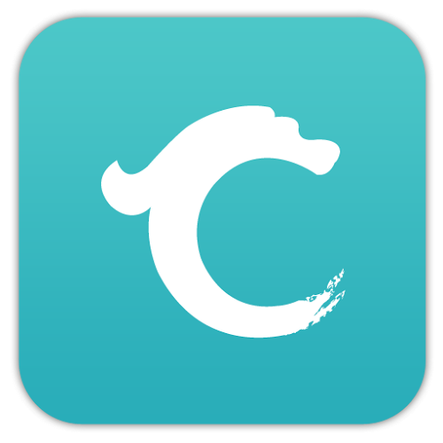 Logo CleanWiz Ícone Logo CleanWiz Ícone