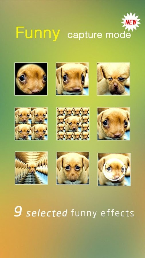 VivaVideo: Free Video Editor - Imagem 2 do software