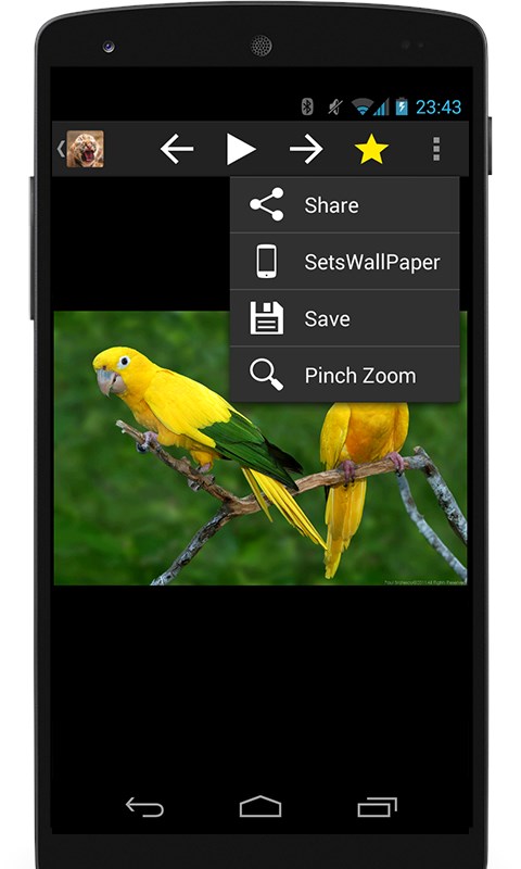 Animal Wallpaper Hd Download To Android Gratis