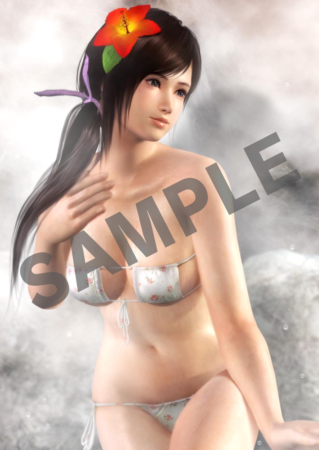 Edição limitada de Dead or Alive 5: Last Round oferece pôsteres de banheiro