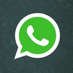 Logo WhatsApp Ícone Logo WhatsApp Ícone