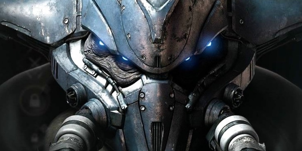 Os Decaídos levantaram Destiny