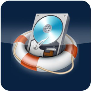 Logo Do Your Data Recovery Professional Ícone Logo Do Your Data Recovery Professional Ícone