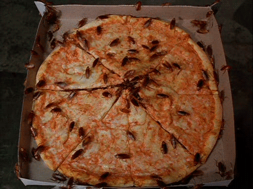 Resultado de imagem para pizza nojenta  gif