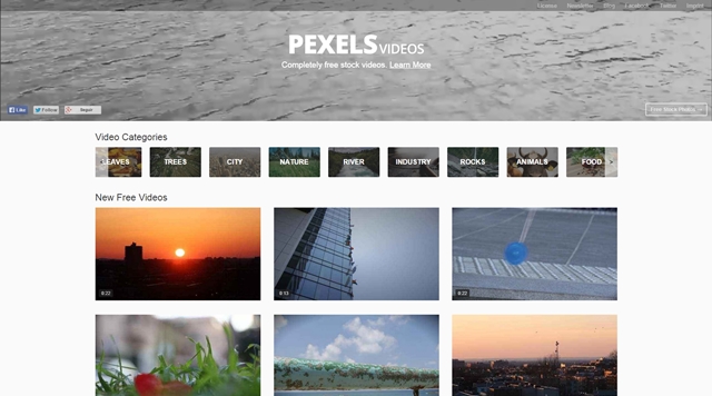 pexels video download free pexels video download free