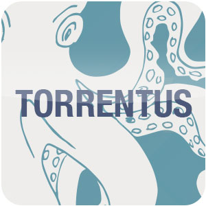 Logo TorrentUs Ícone Logo TorrentUs Ícone