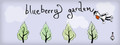Logo Blueberry Garden - Steam Ícone Logo Blueberry Garden - Steam Ícone