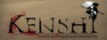 Logo Kenshi - Steam Ícone Logo Kenshi - Steam Ícone