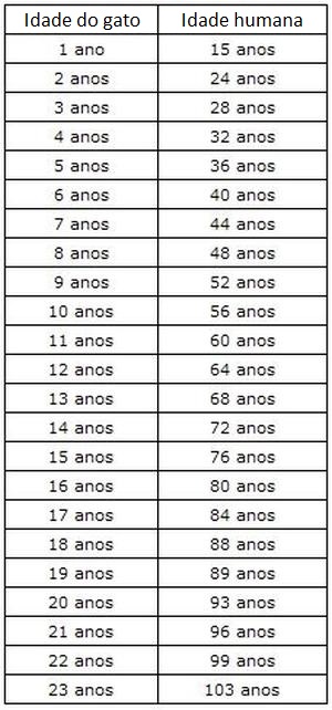 Veja a maneira correta de calcular a idade 'humana' de seu gato ...