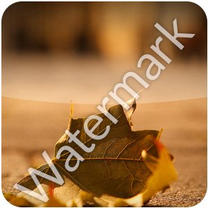 Logo Easy Watermark Creator Ícone Logo Easy Watermark Creator Ícone