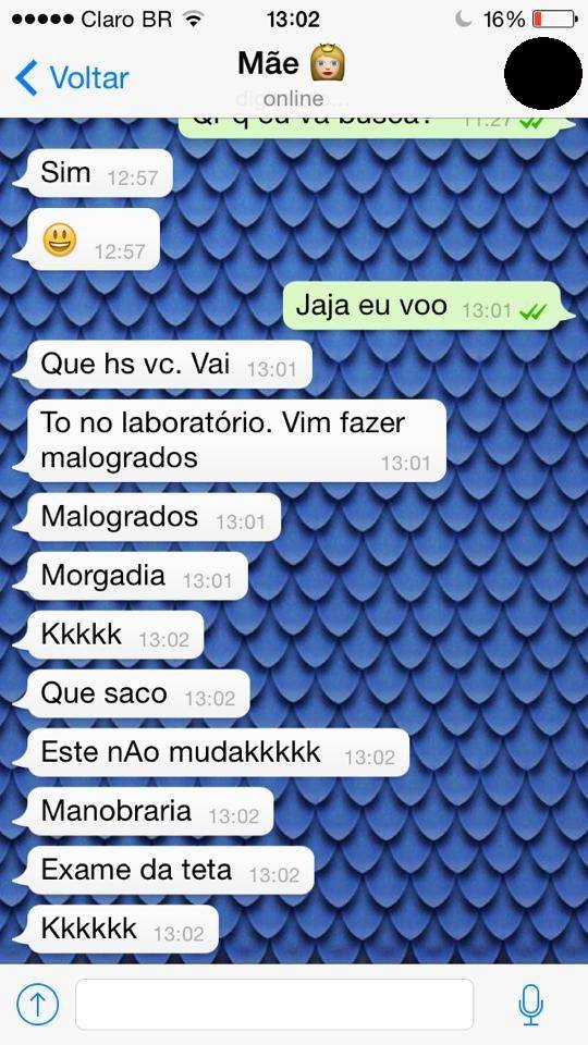 Featured image of post Conversas Mais Engra adas Do Whatsapp 2 at porque o whatsapp meio dif cil de mexer mesmo