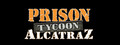 Logo Prison Tycoon Alcatraz - Steam Ícone Logo Prison Tycoon Alcatraz - Steam Ícone