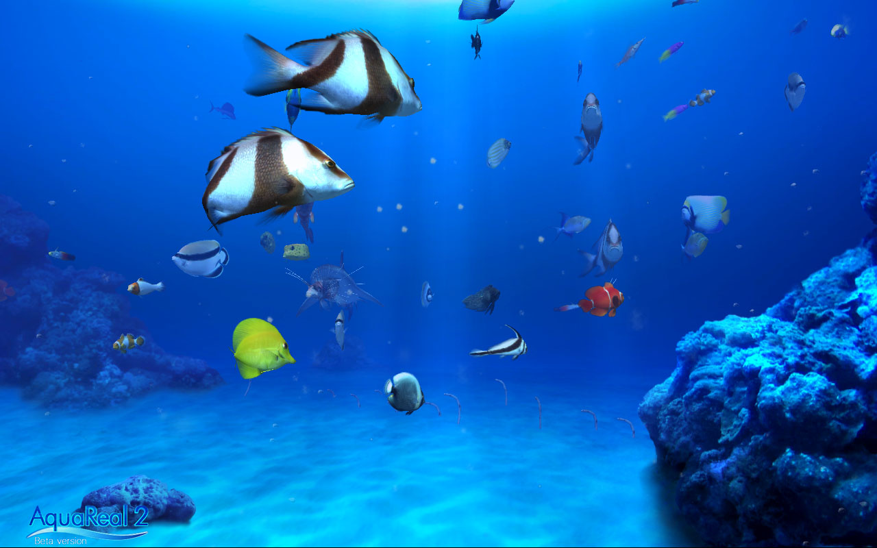Download digifish aqua real 2 v1.04 free Download digifish aqua real 2 v1.04 free