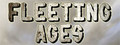Logo Fleeting Ages - Steam Ícone Logo Fleeting Ages - Steam Ícone