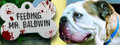 Logo Feeding Mr. Baldwin - Steam Ícone Logo Feeding Mr. Baldwin - Steam Ícone