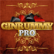Logo Gin Rummy Pro Ícone Logo Gin Rummy Pro Ícone