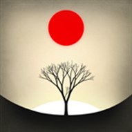 Logo Prune Ícone Logo Prune Ícone