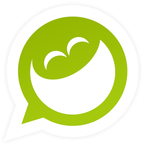Logo Zueiras Ícone Logo Zueiras Ícone