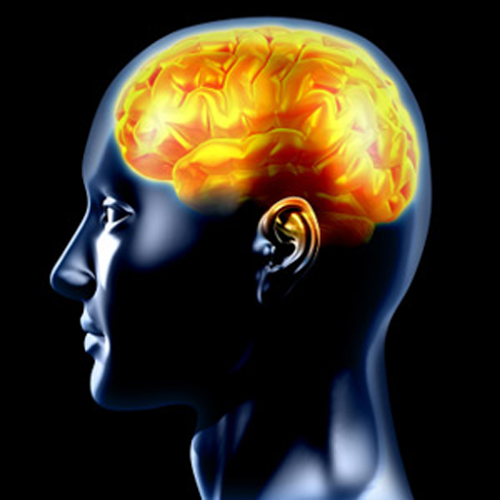Logo Best IQ Test Ícone Logo Best IQ Test Ícone