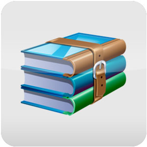 Logo DataNumen RAR Repair Ícone Logo DataNumen RAR Repair Ícone