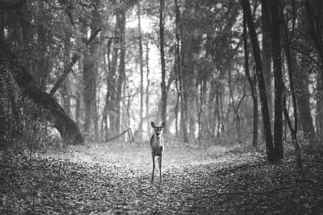 Como ganhar dinheiro com fotografia de paisagens Como ganhar dinheiro com fotografia de paisagens