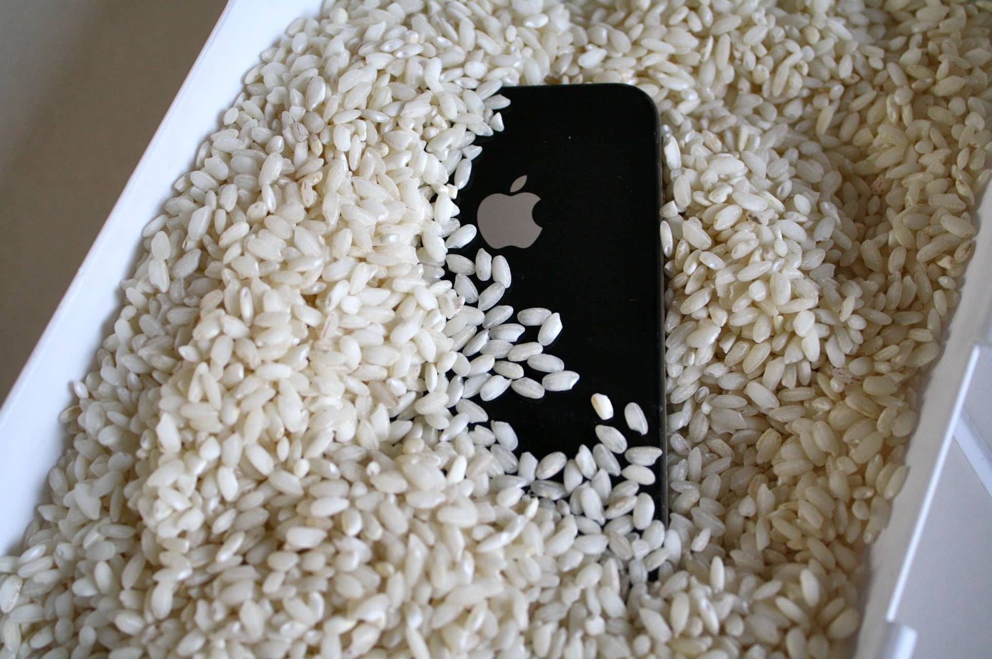 Mito Ou Verdade O Arroz Pode Realmente Salvar O Seu Smartphone Tecmundo
