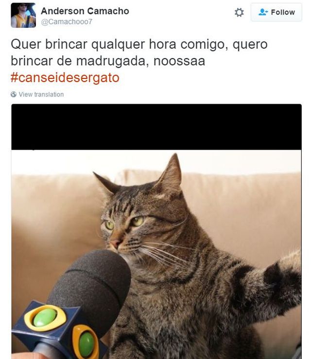 Veja De Onde Surgiu O Meme Da Mulher Gritando Com O Gato Na Mesa