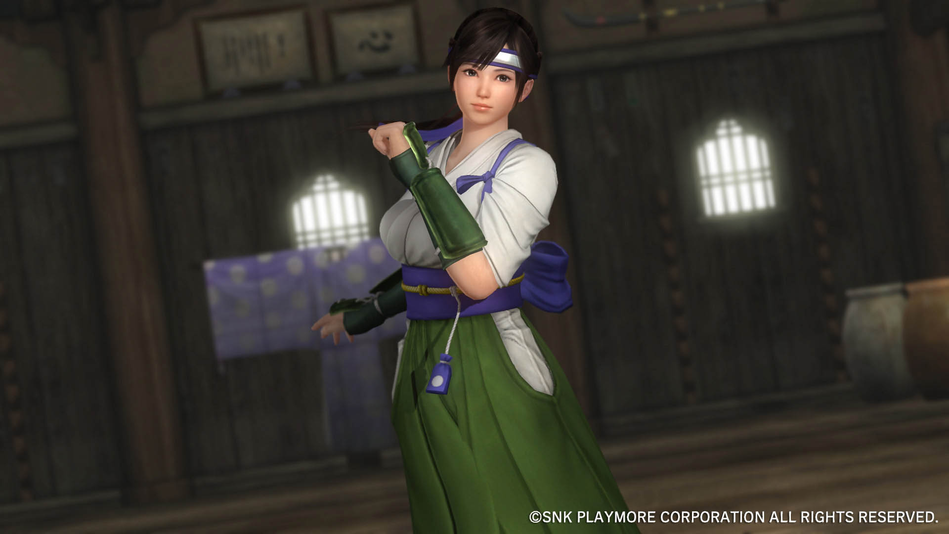 Dead or Alive 5 ganha belo DLC com Mai Shiranui e outras lutadoras de KoF