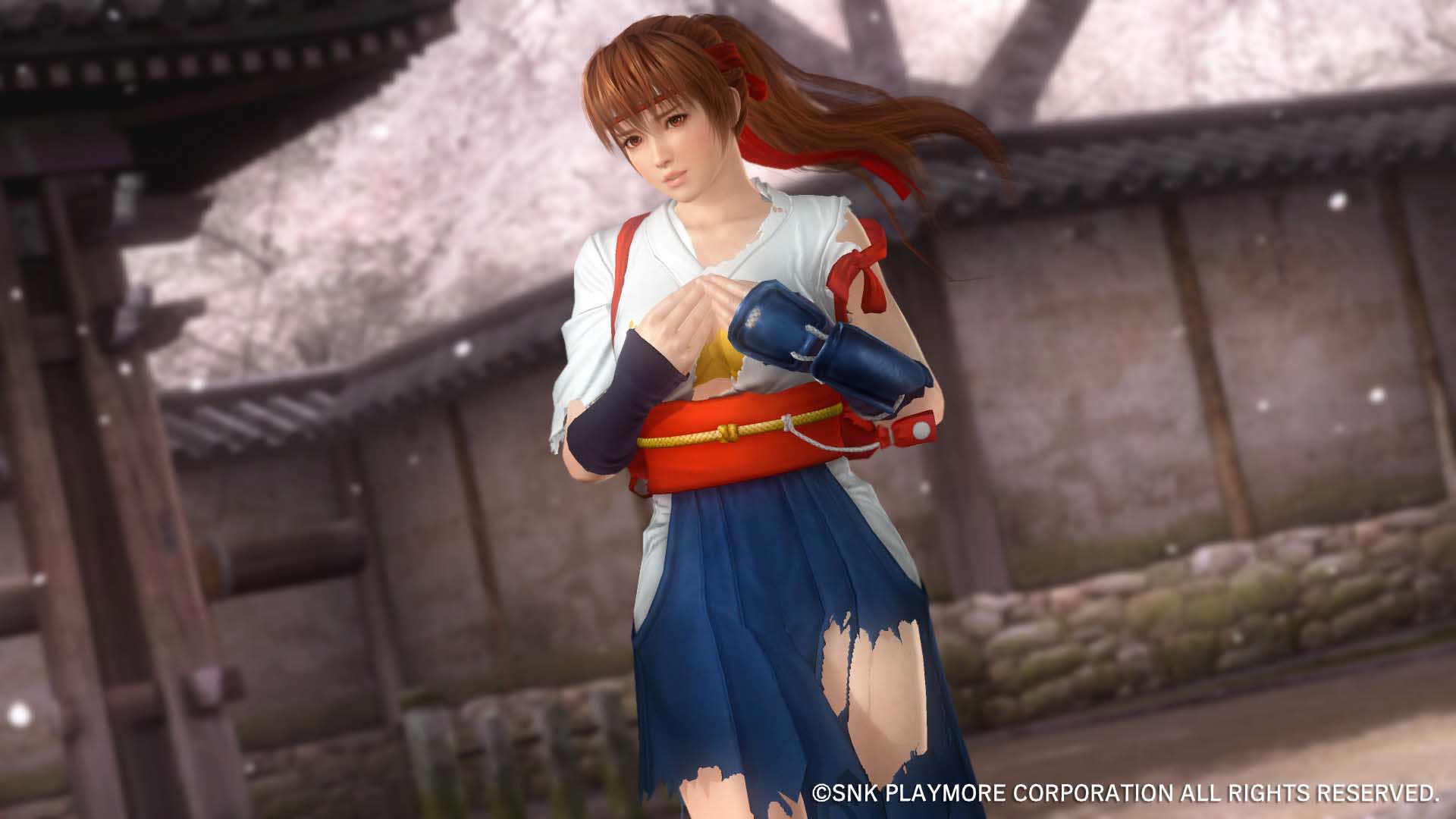 Dead or Alive 5 ganha belo DLC com Mai Shiranui e outras lutadoras de KoF
