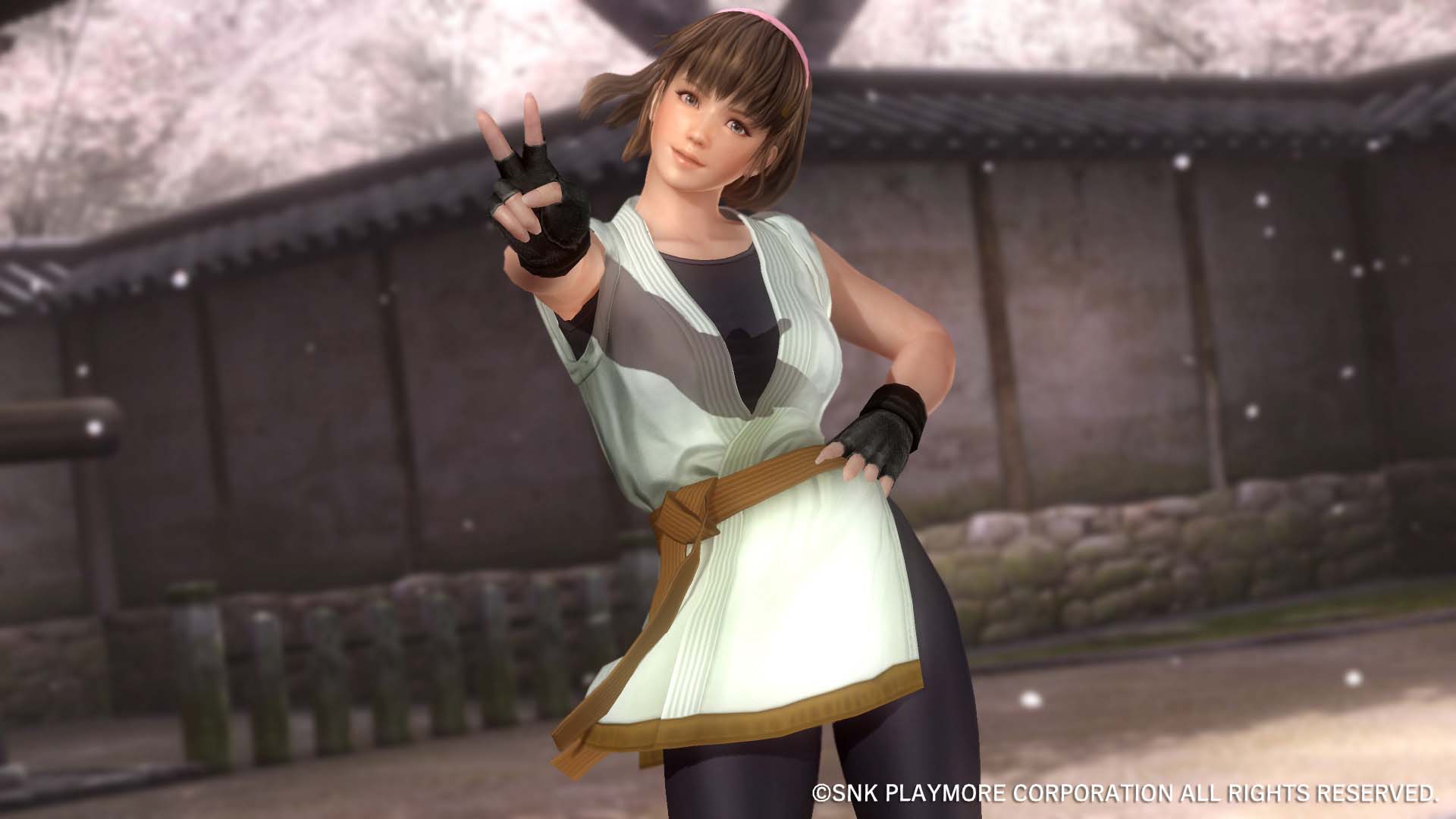 Dead or Alive 5 ganha belo DLC com Mai Shiranui e outras lutadoras de KoF